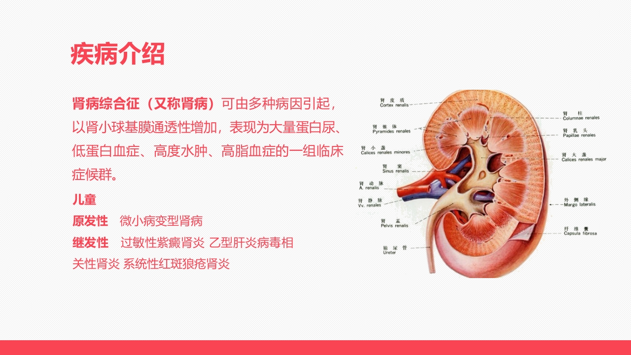 肾病患儿服用激素后的临床表现及护理