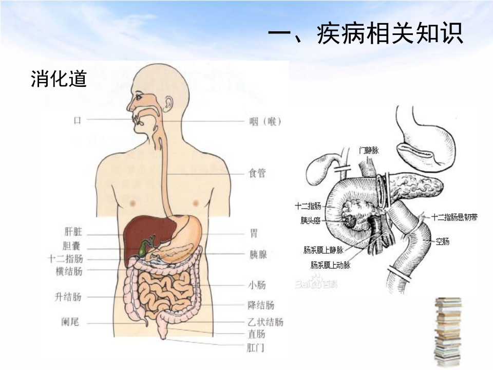 下消化道出血伴失血性休克护理查房