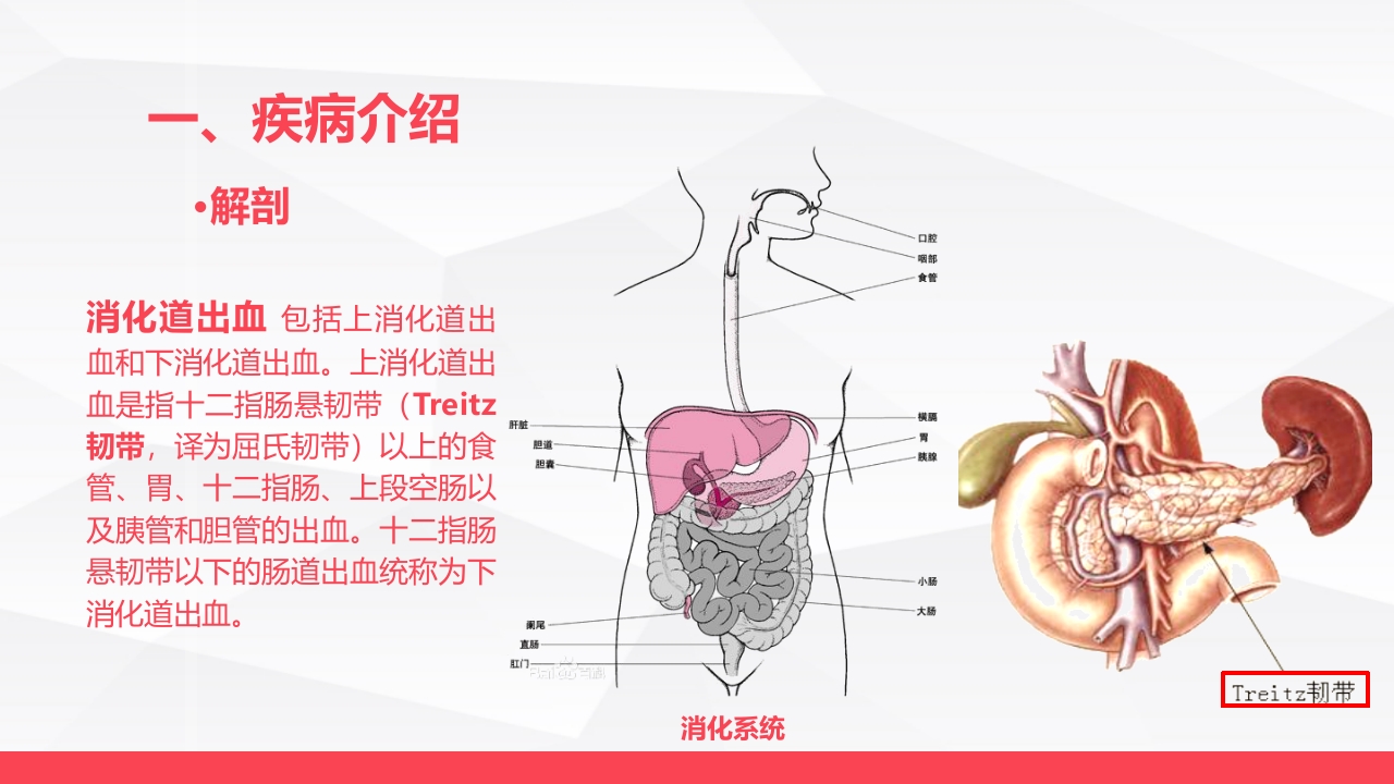 消化道大出血的急救与护理