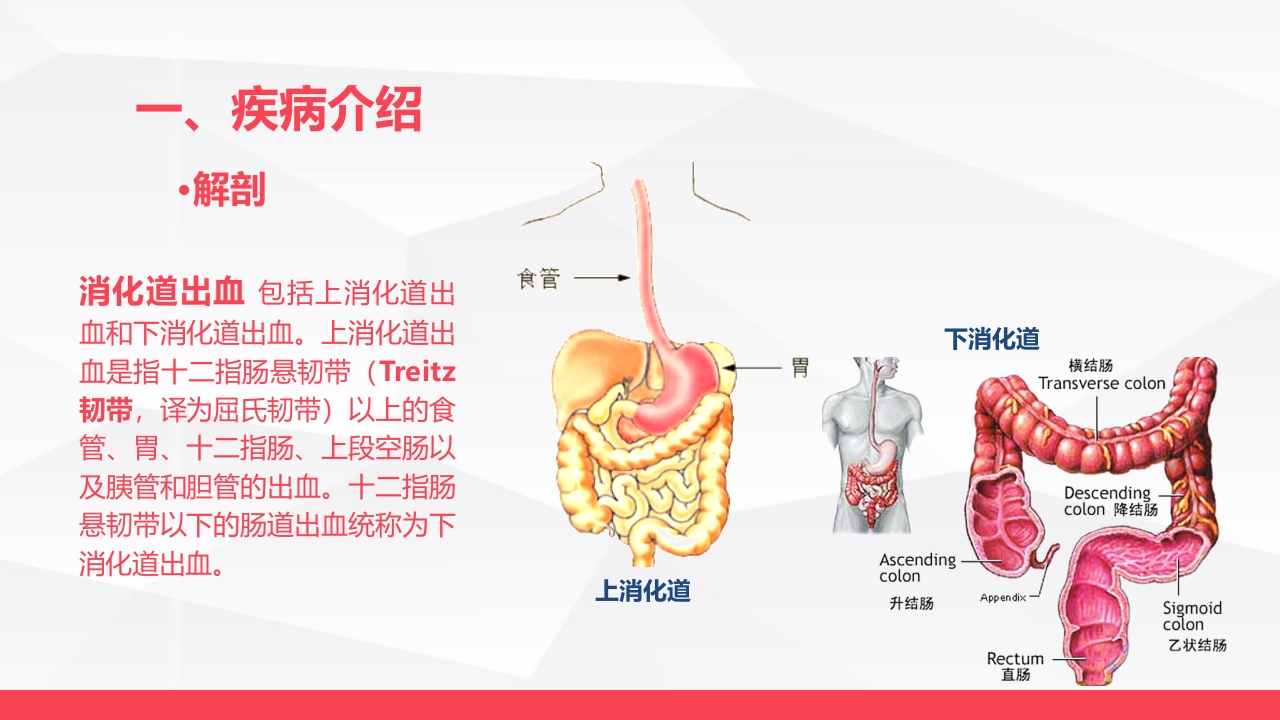 消化道大出血的急救与护理
