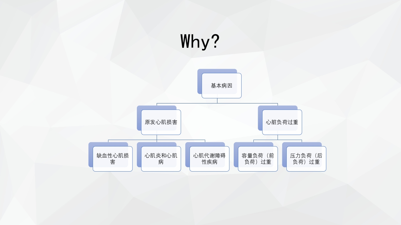 心力衰竭护理查房