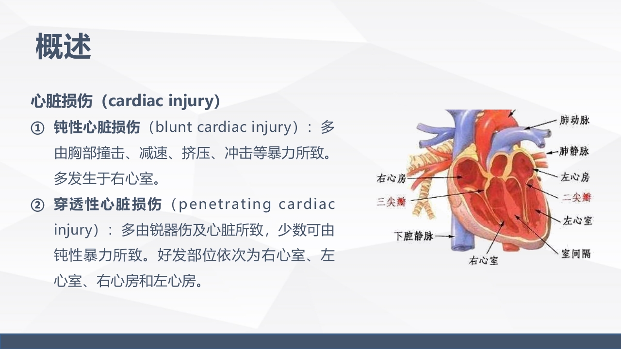 心脏损伤的业务学习