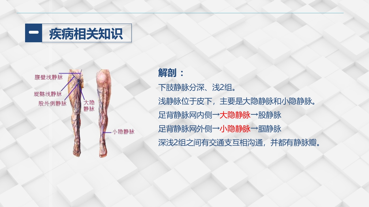 血管外科-下肢静脉曲张的护理查房