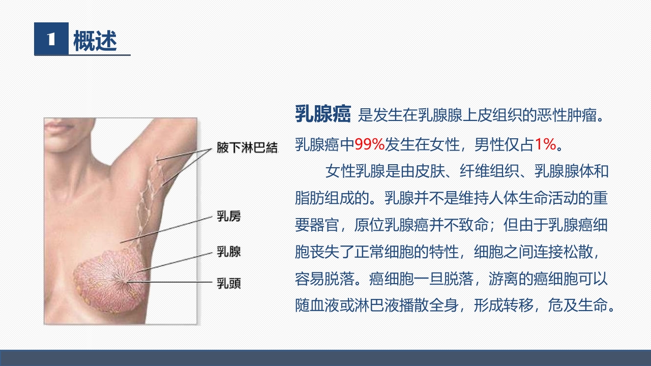 肿瘤内科-乳腺癌患者术后护理查房