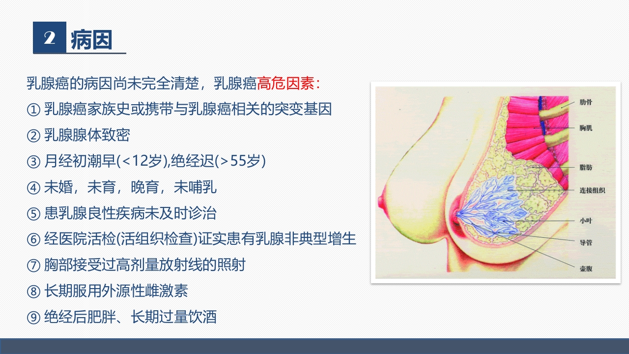 肿瘤内科-乳腺癌患者术后护理查房