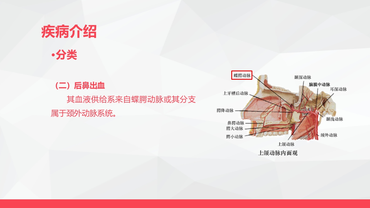 鼻出血的业务学习