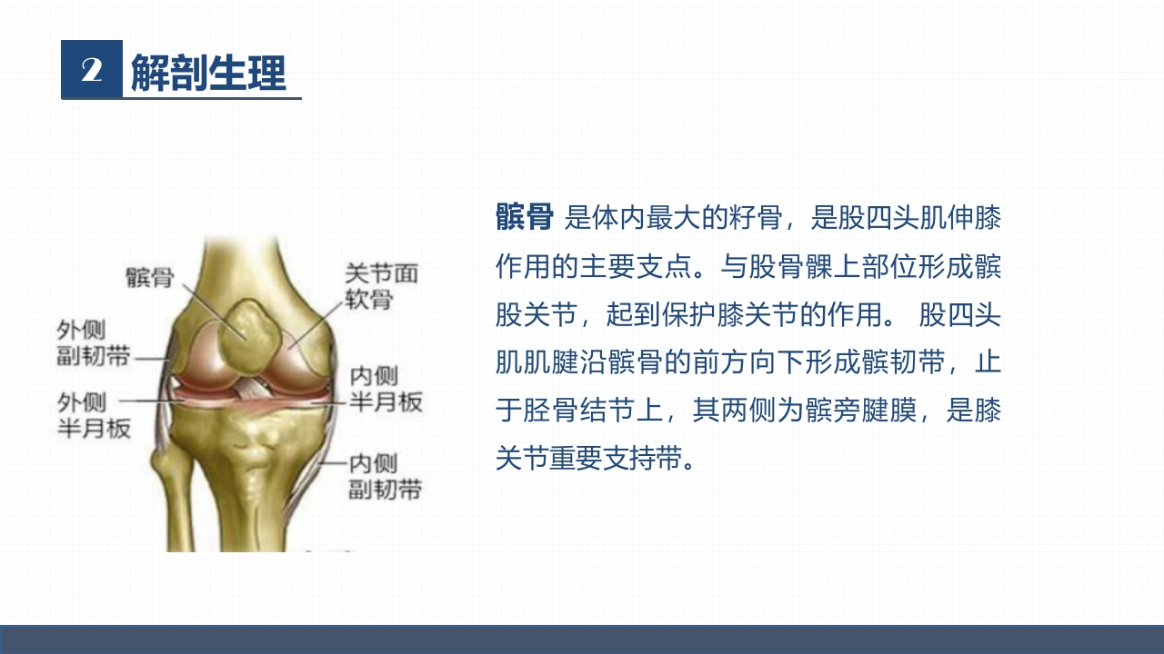 髌骨骨折的护理1