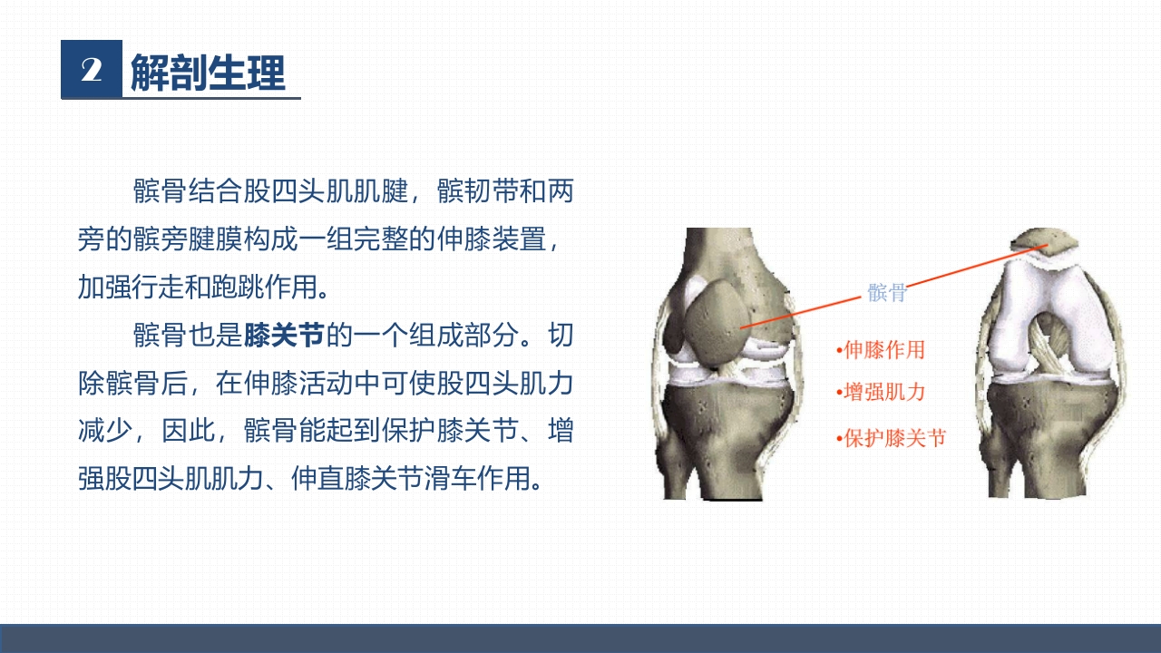 髌骨骨折的护理1