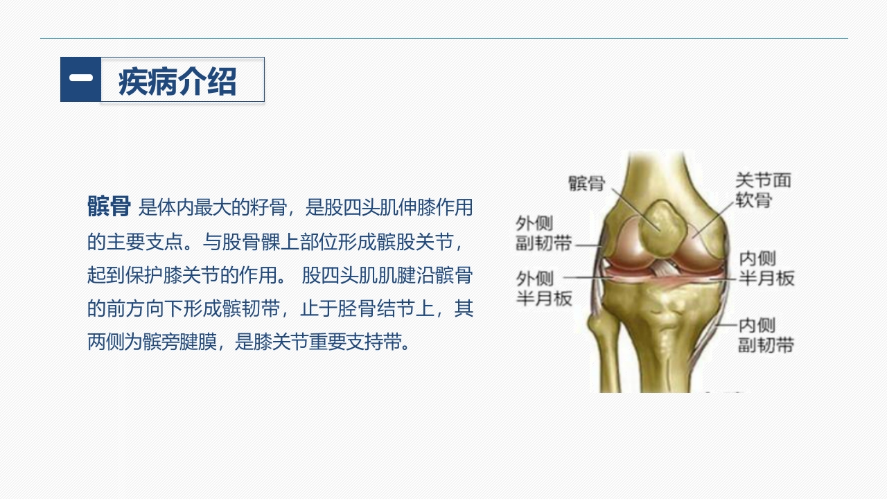 髌骨骨折的护理查房(1)