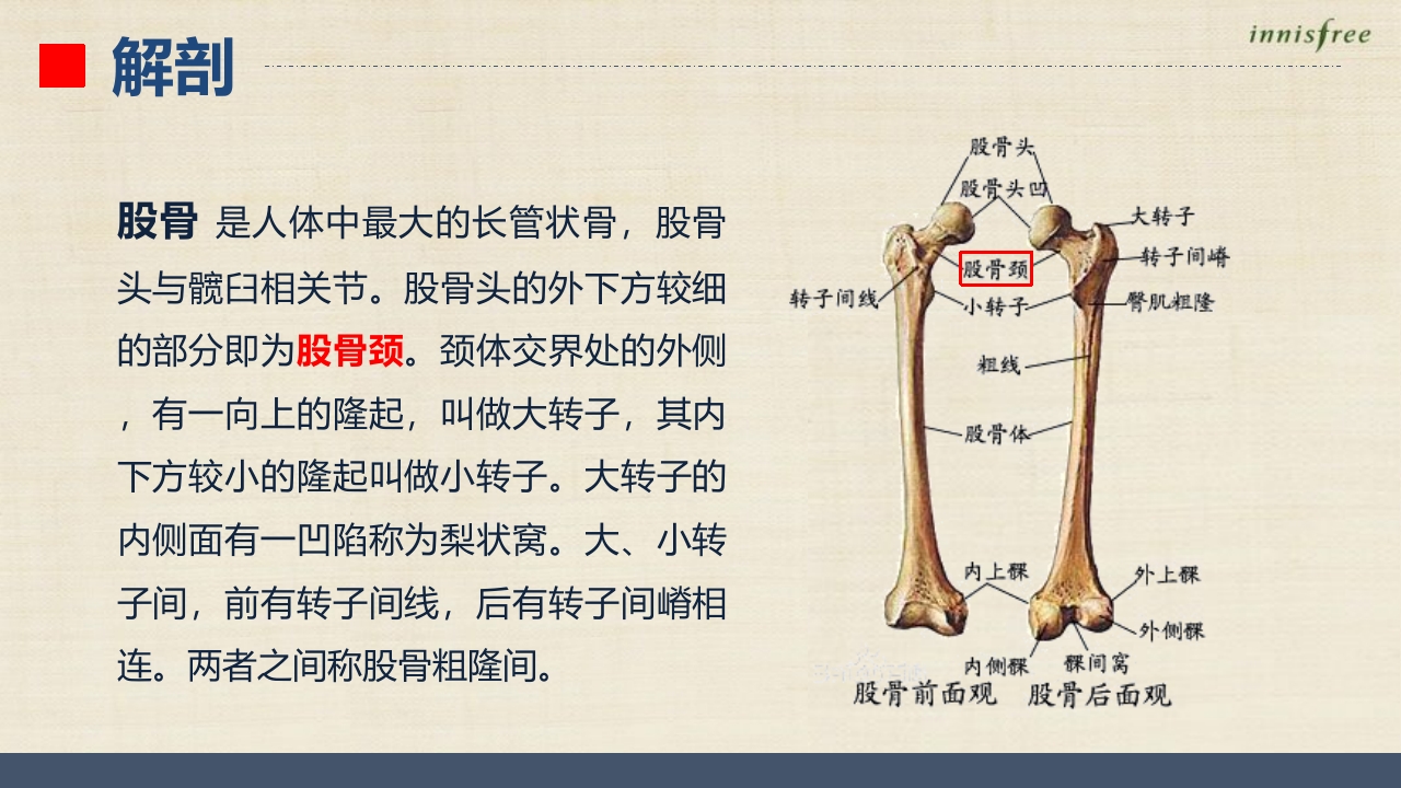 股骨颈骨折患者的护理查房