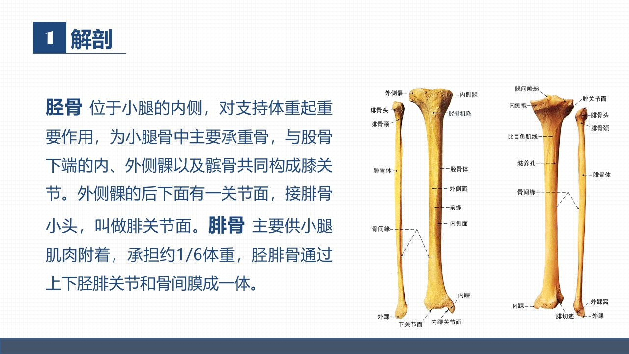 骨科胫腓骨骨折教育查房