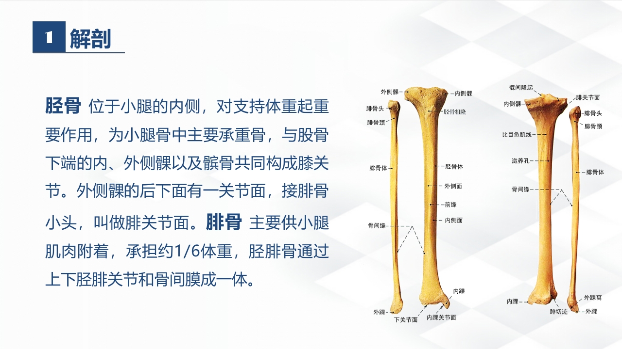 骨科-胫腓骨骨折教育查房