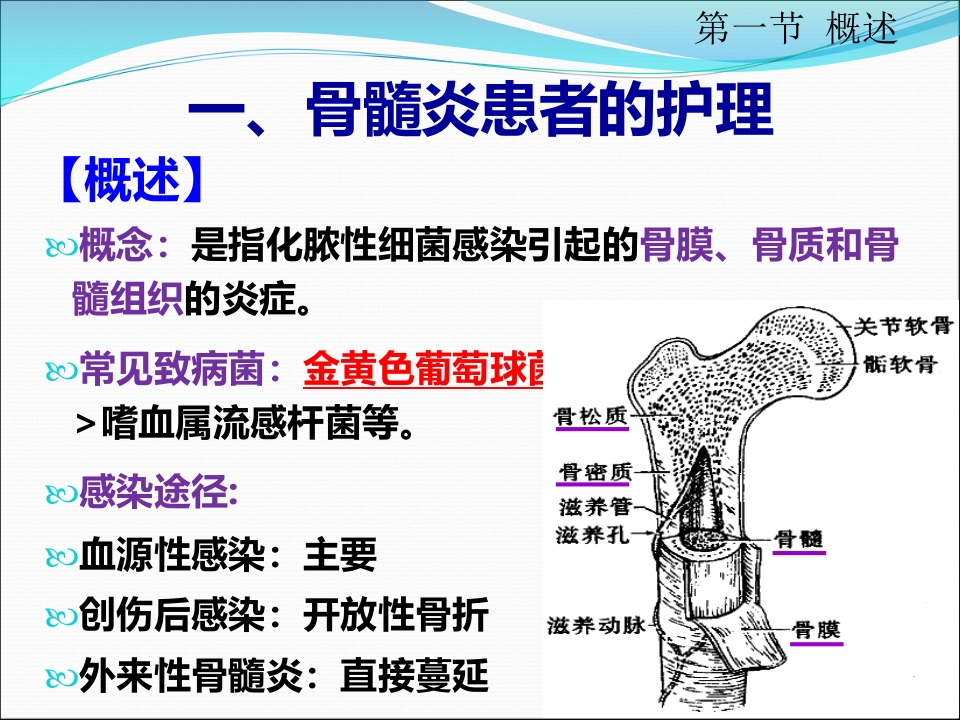 骨与关节感染患者的护理