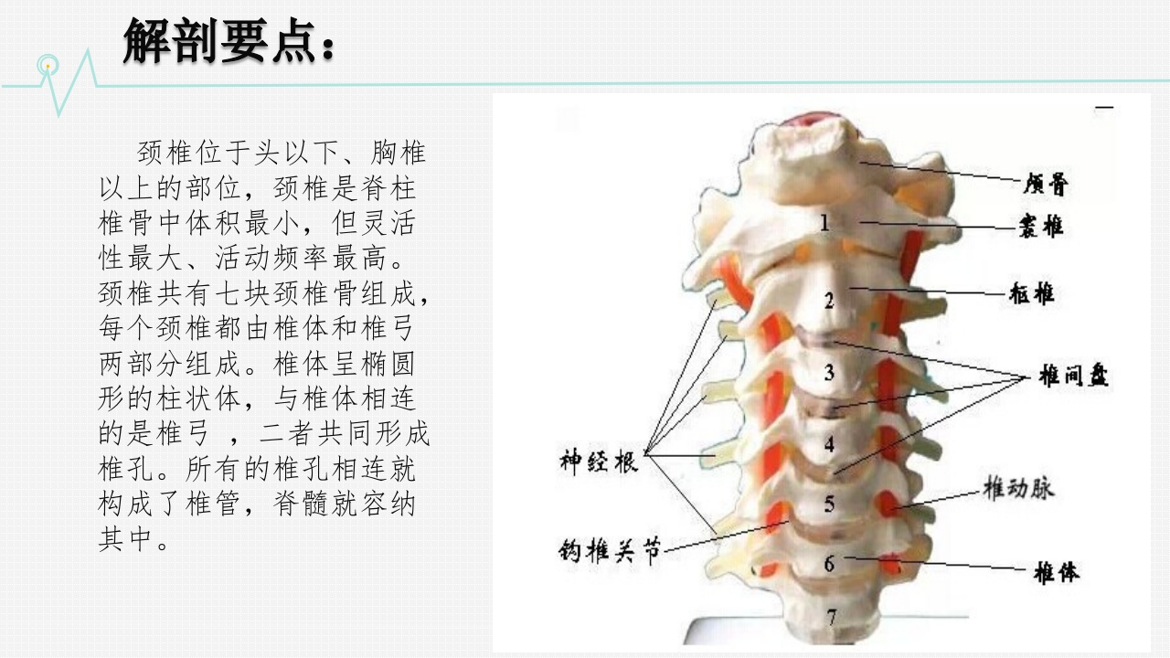 颈椎骨折护理查房
