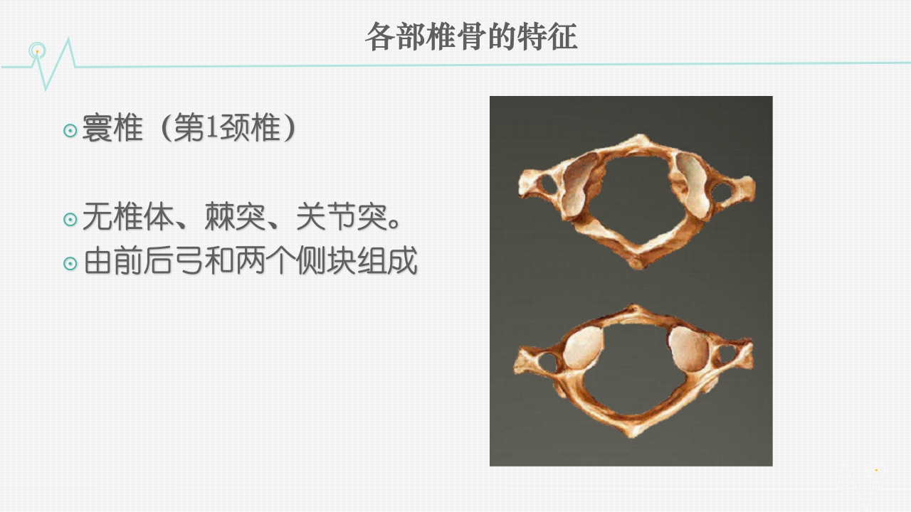 颈椎骨折护理查房