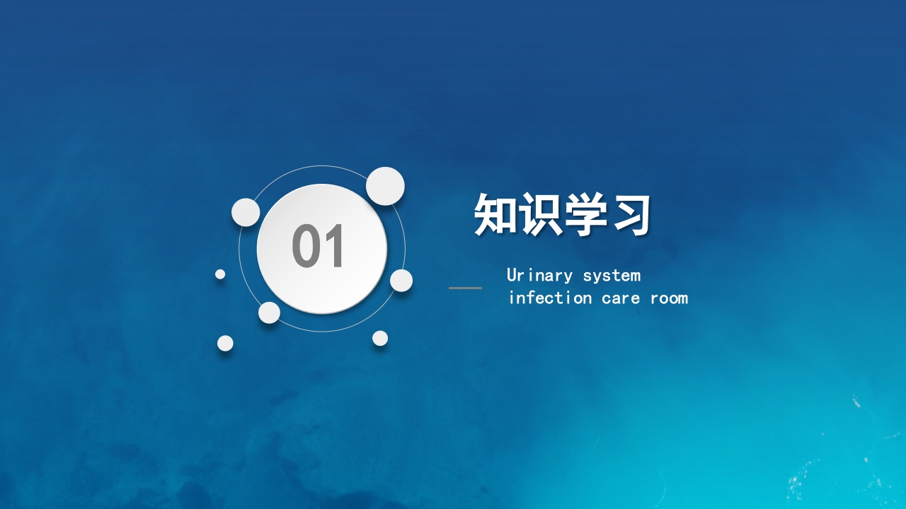 泌尿系统感染护理查房