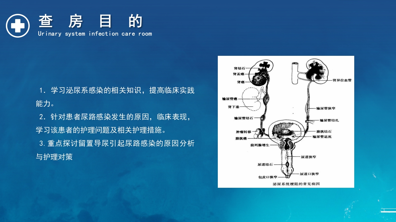 泌尿系统感染护理查房