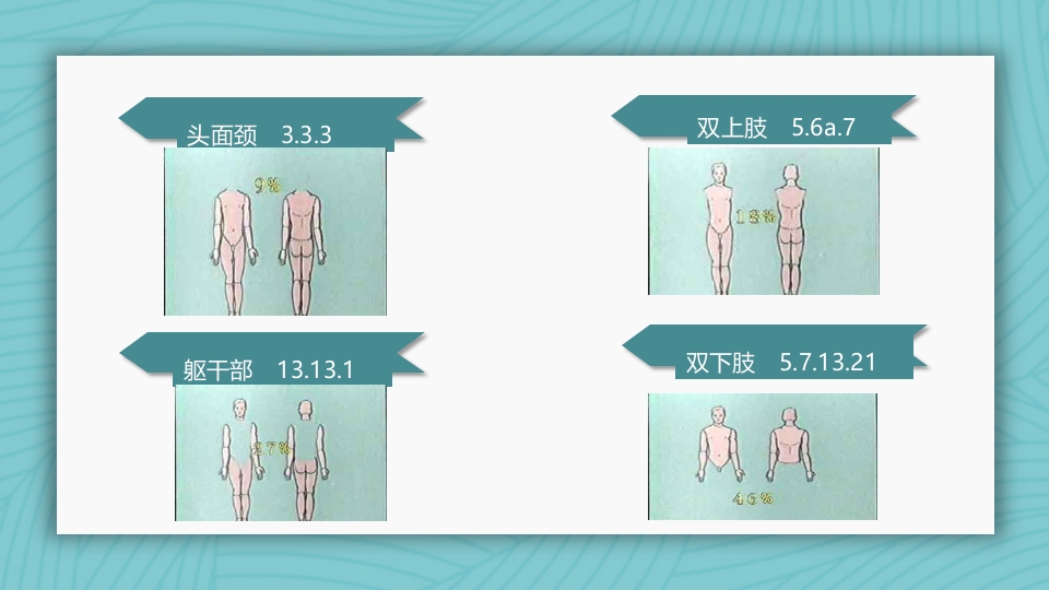 烧伤病人护理教学查房