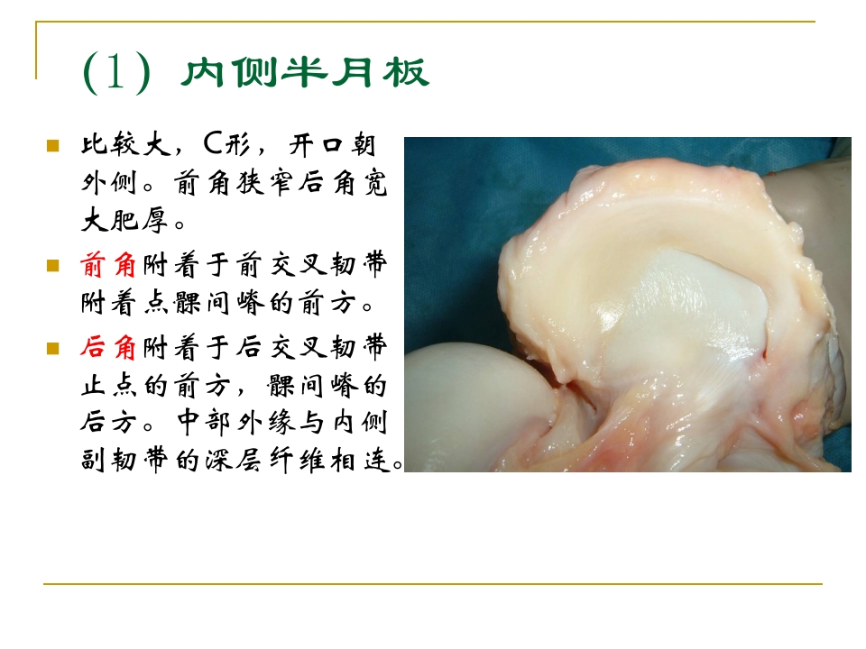 膝关节半月板损伤及护理