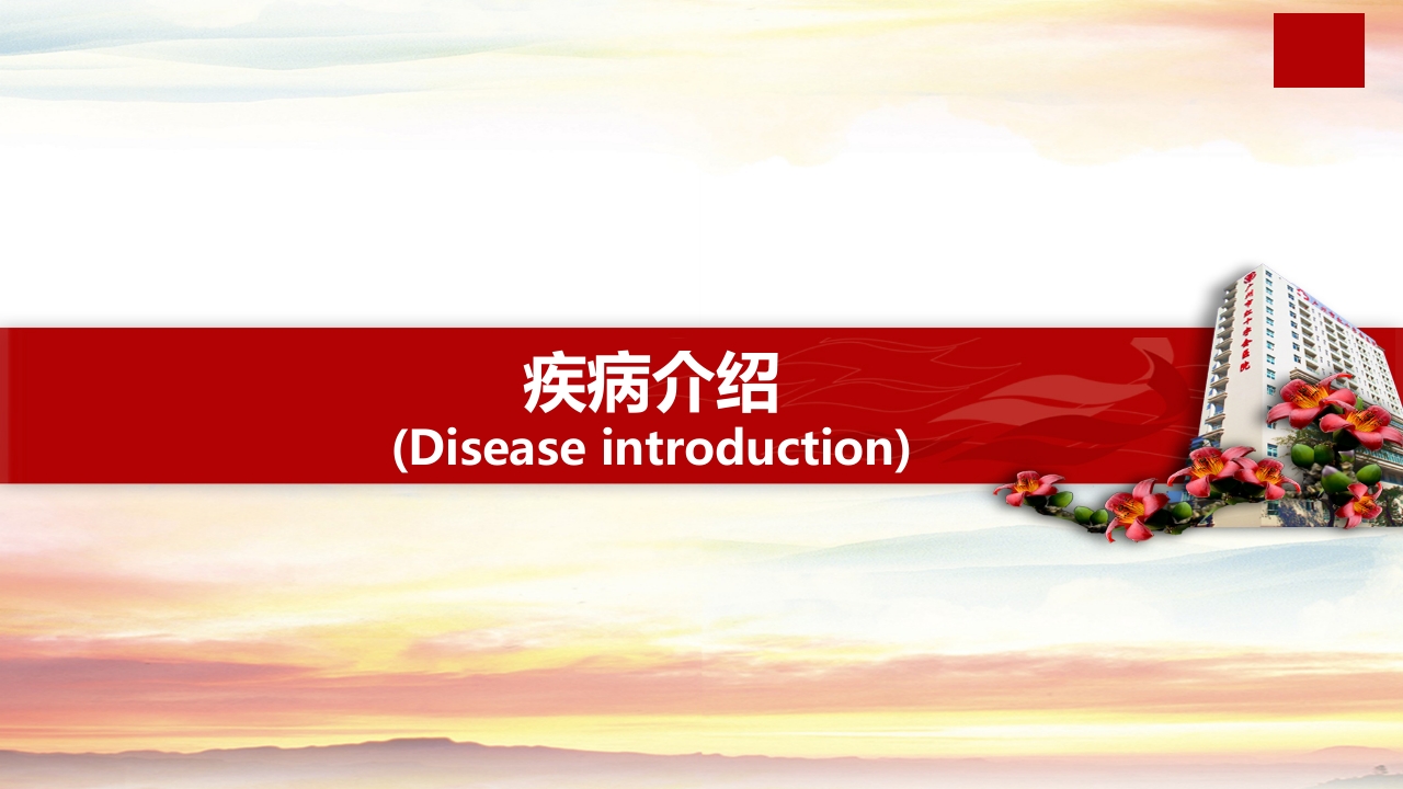 膝关节前十字韧带重建术的健康教育(1)