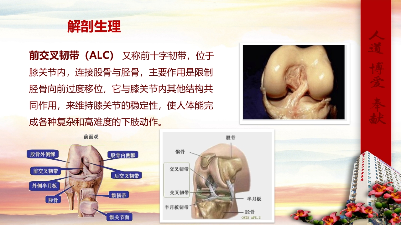 膝关节前十字韧带重建术的健康教育(1)