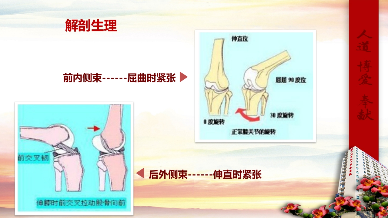 膝关节前十字韧带重建术的健康教育(1)