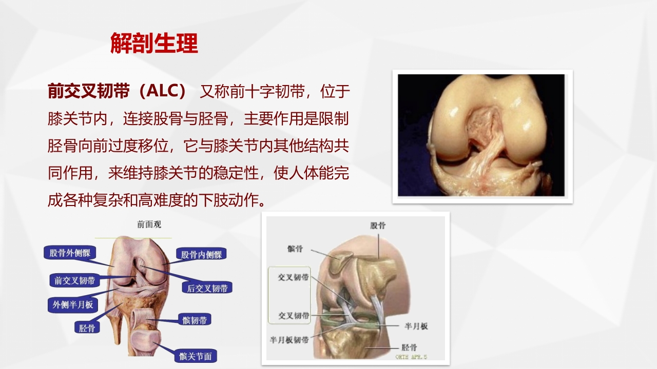 膝关节前十字韧带重建术的健康教育