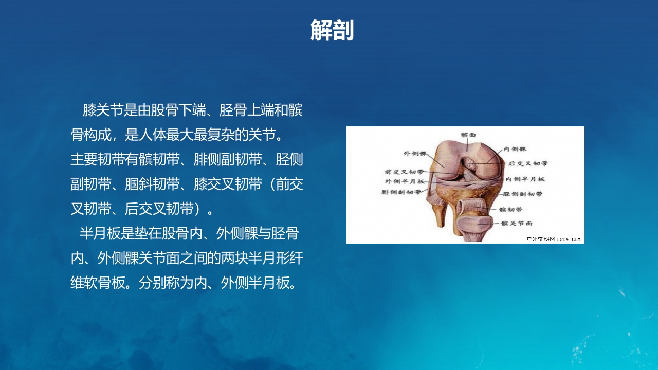 膝关节炎护理查房(1)