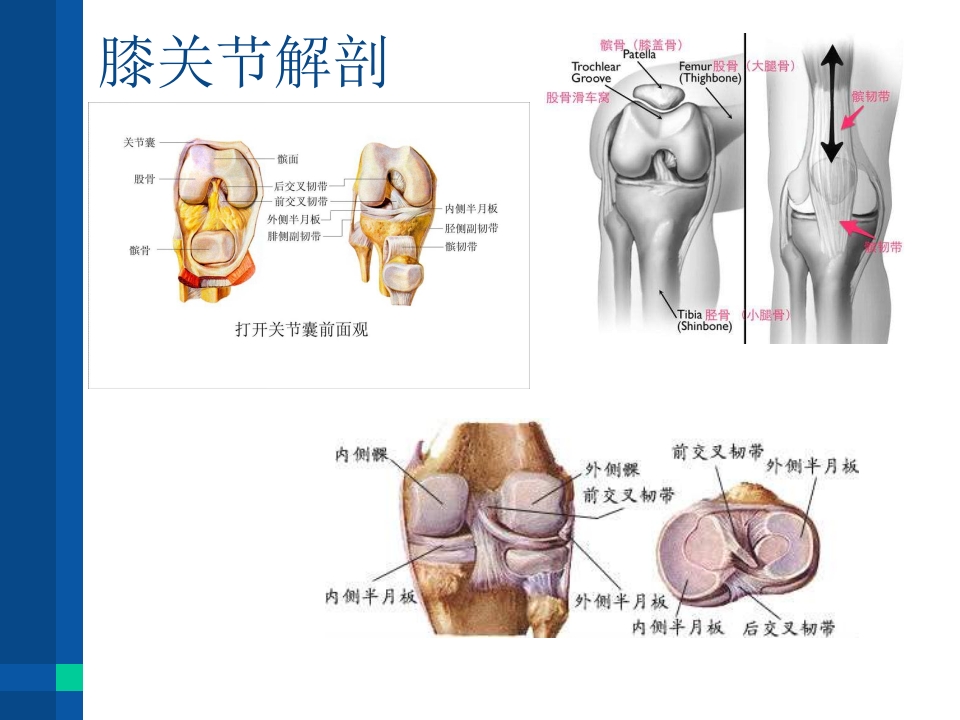 膝关节置换术后康复护理