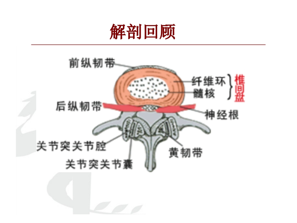 腰椎间盘突出症护理