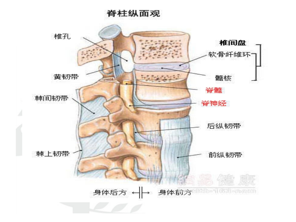 腰椎间盘突出症护理