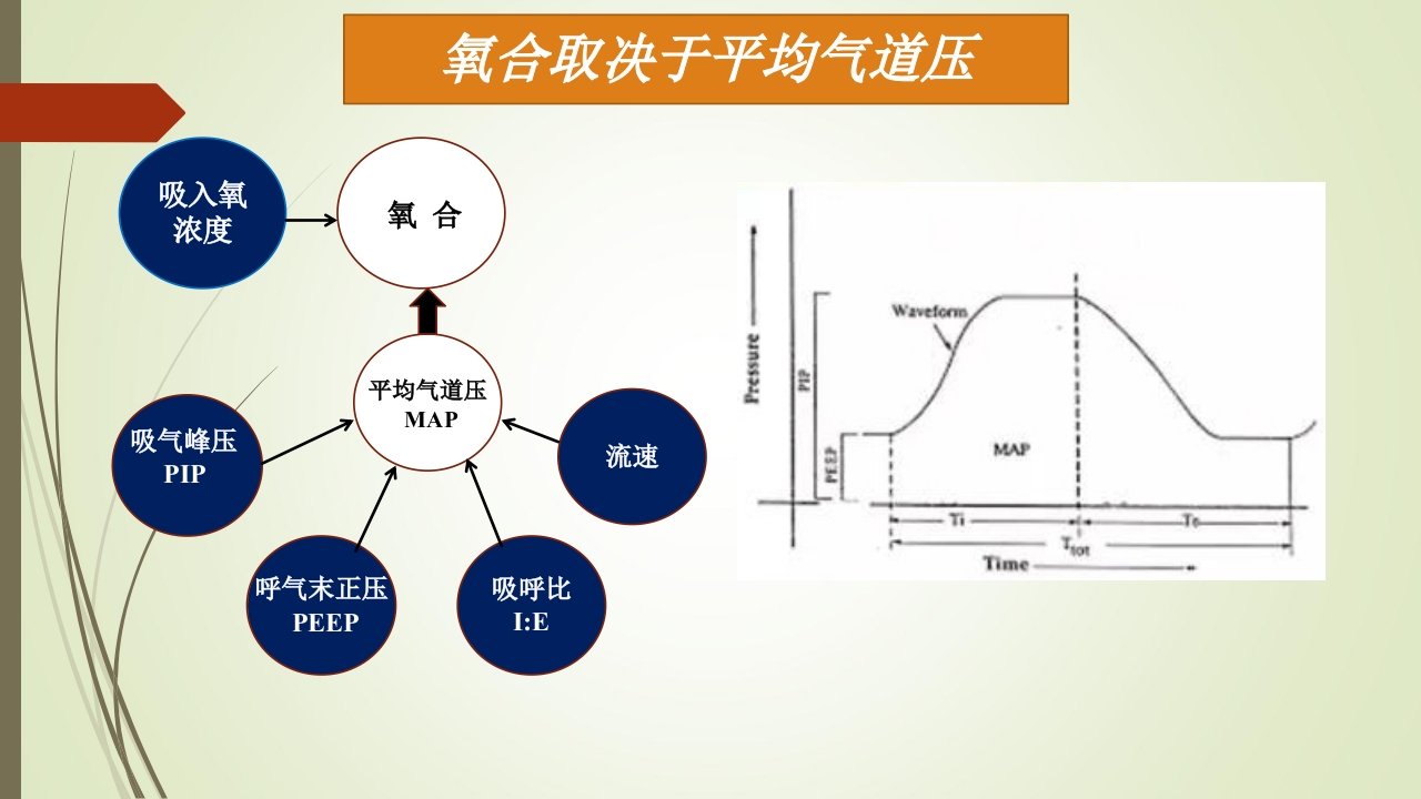 新生儿机械通气治疗