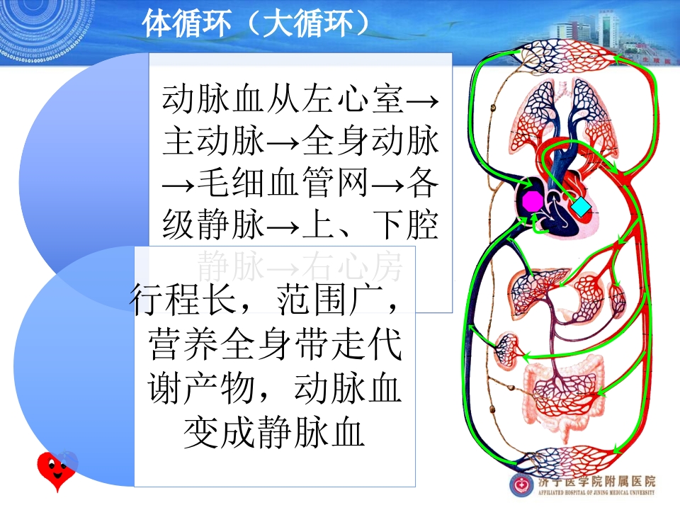 血流动力学监测