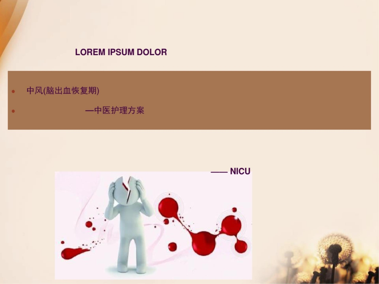 脑出血恢复期中医护理方案ppt课件