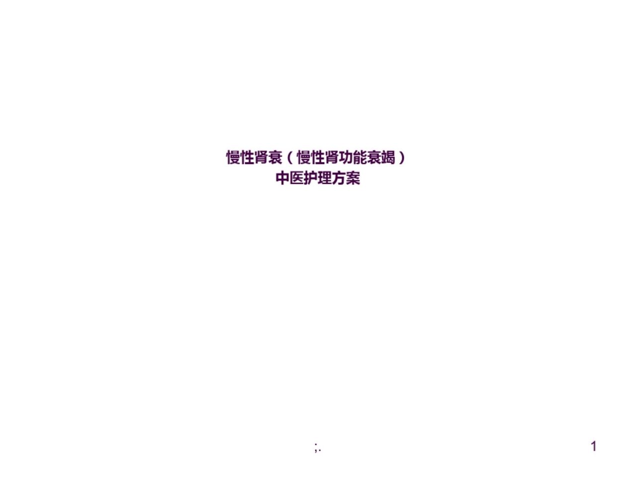 慢性肾衰中医护理方案ppt课件