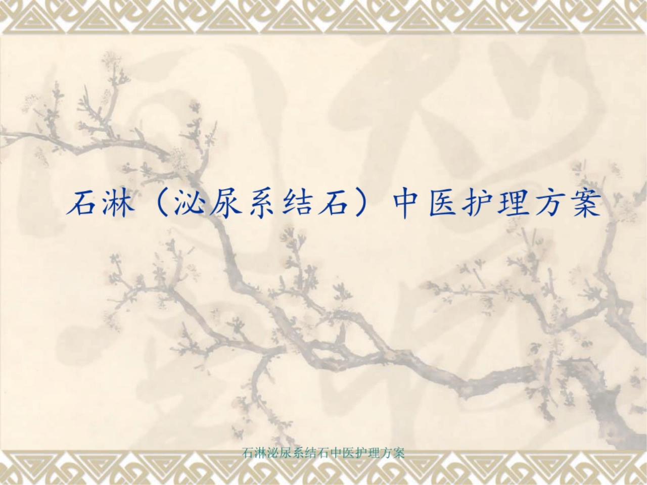 石淋泌尿系结石中医护理方案 ppt课件