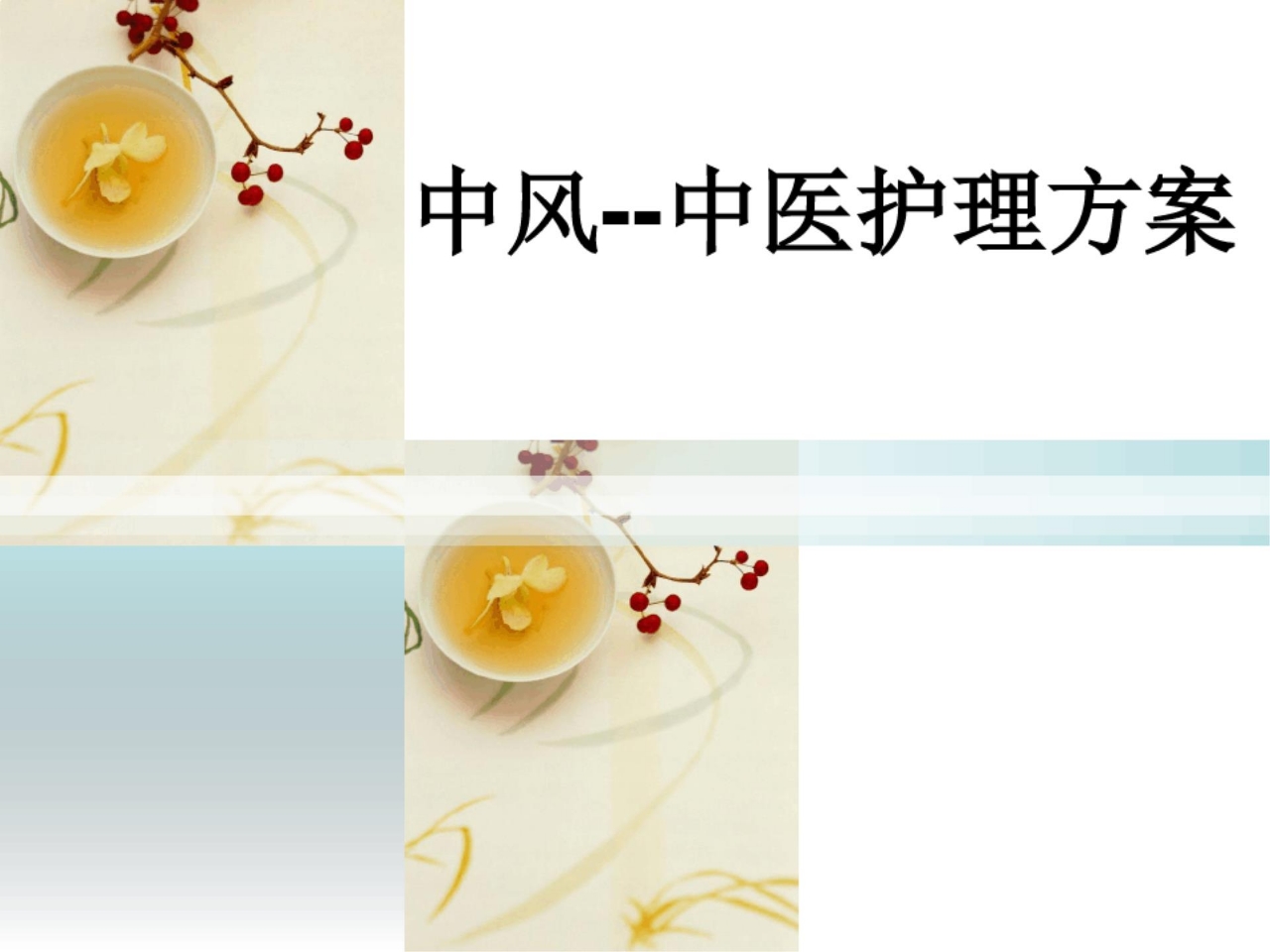 中风中医护理方案 (2)