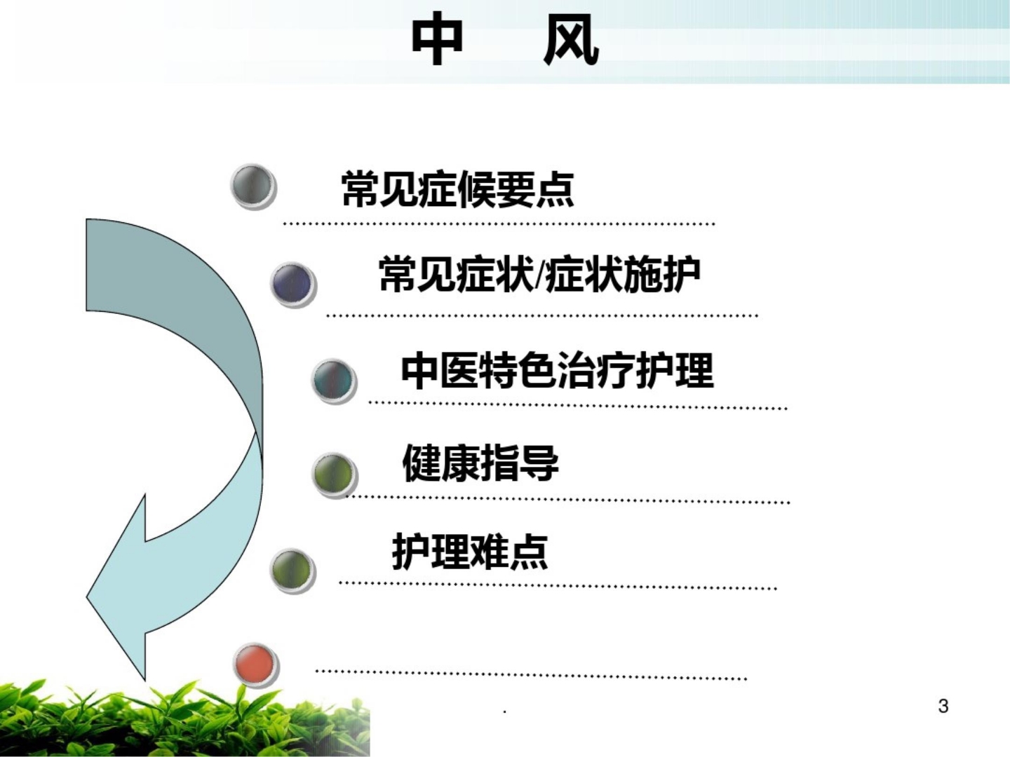 中风中医护理方案 (3)