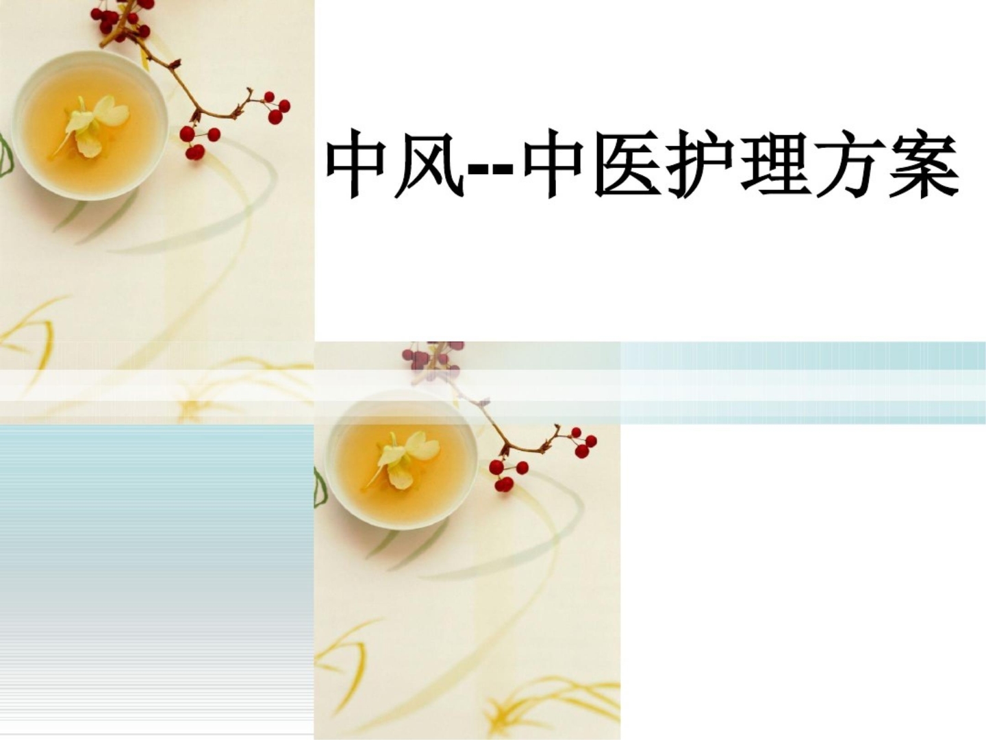 中风中医护理方案