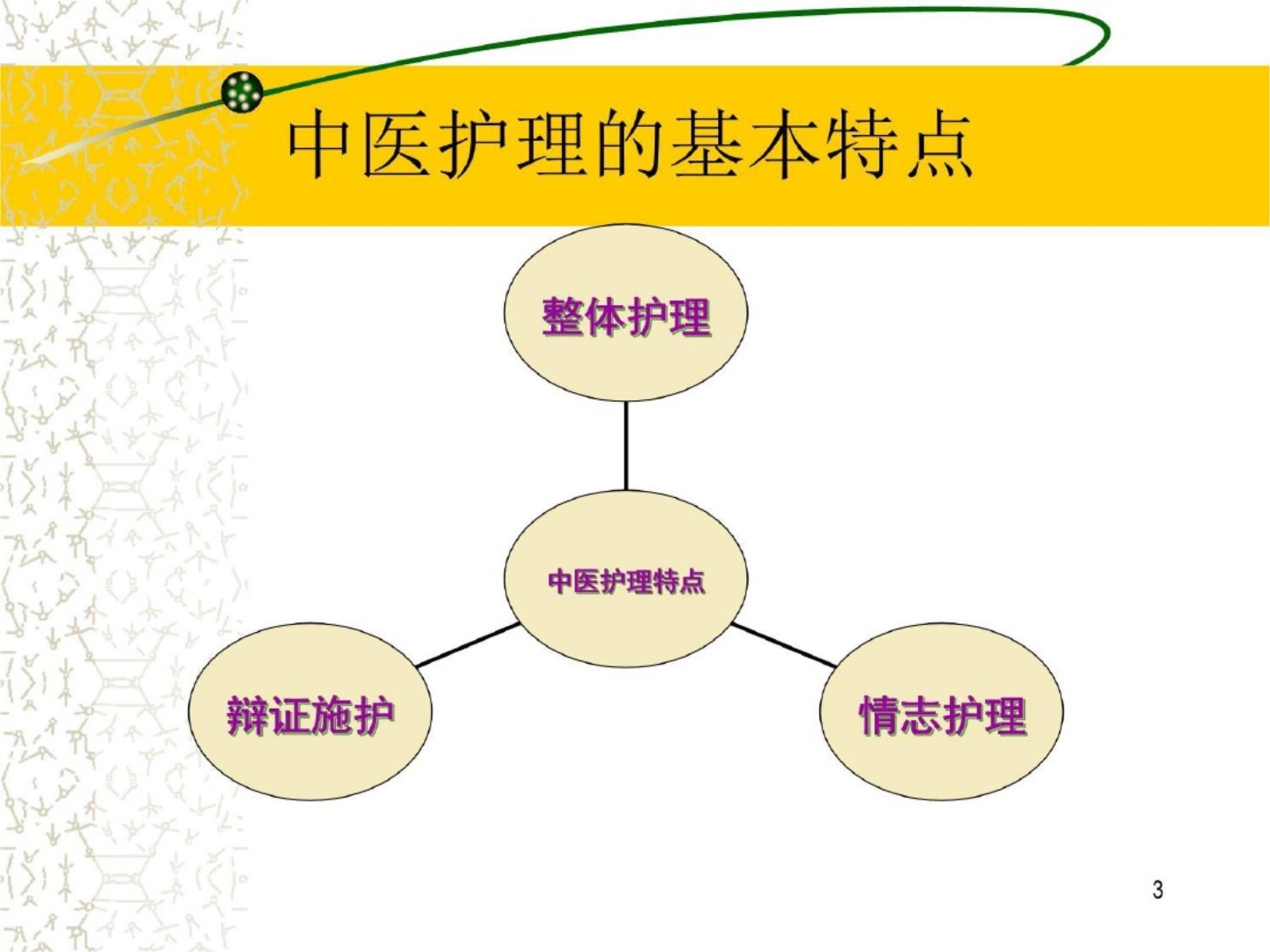 中医整体护理 ppt课件