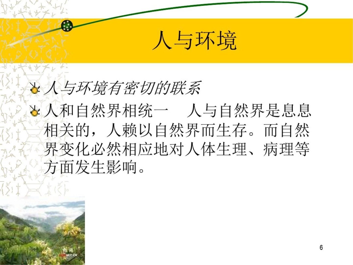 中医整体护理 ppt课件