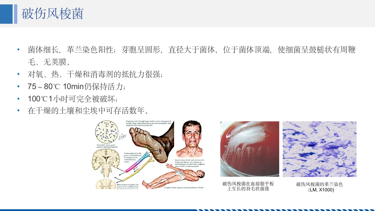 破伤风患者护理查房