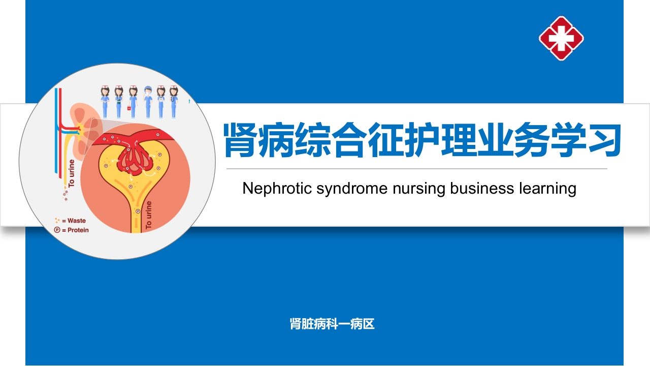 肾病综合征的护理业务学习课件