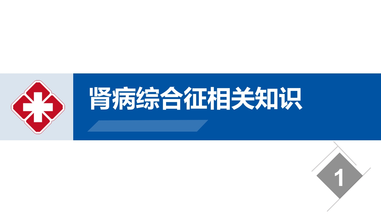 肾病综合征的护理业务学习课件