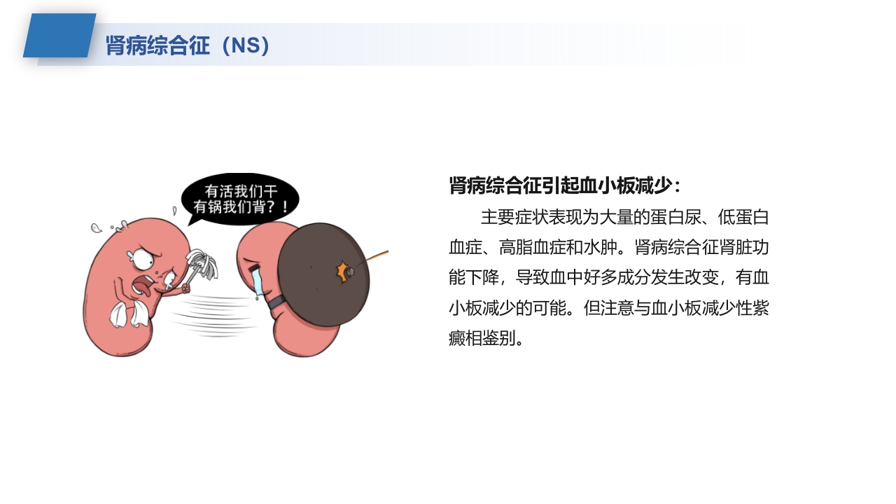 肾病综合征的护理业务学习课件