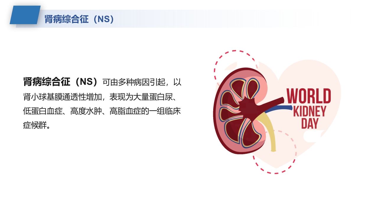 肾病综合征的护理业务学习课件