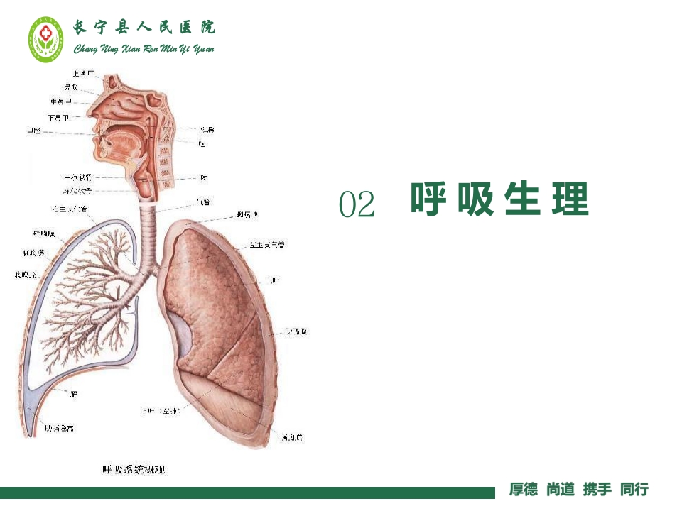 气管切开非机械通气的气道护理