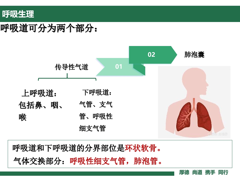 气管切开非机械通气的气道护理