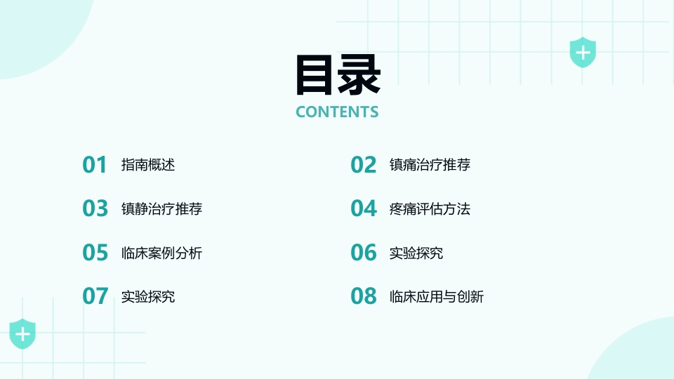 2025中国成人ICU镇痛和镇静治疗指南解读