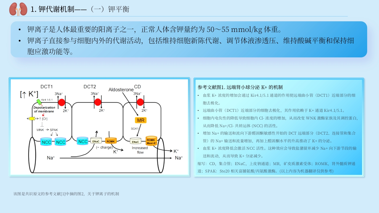 中国慢性肾脏病患者血钾管理实践专家共识
